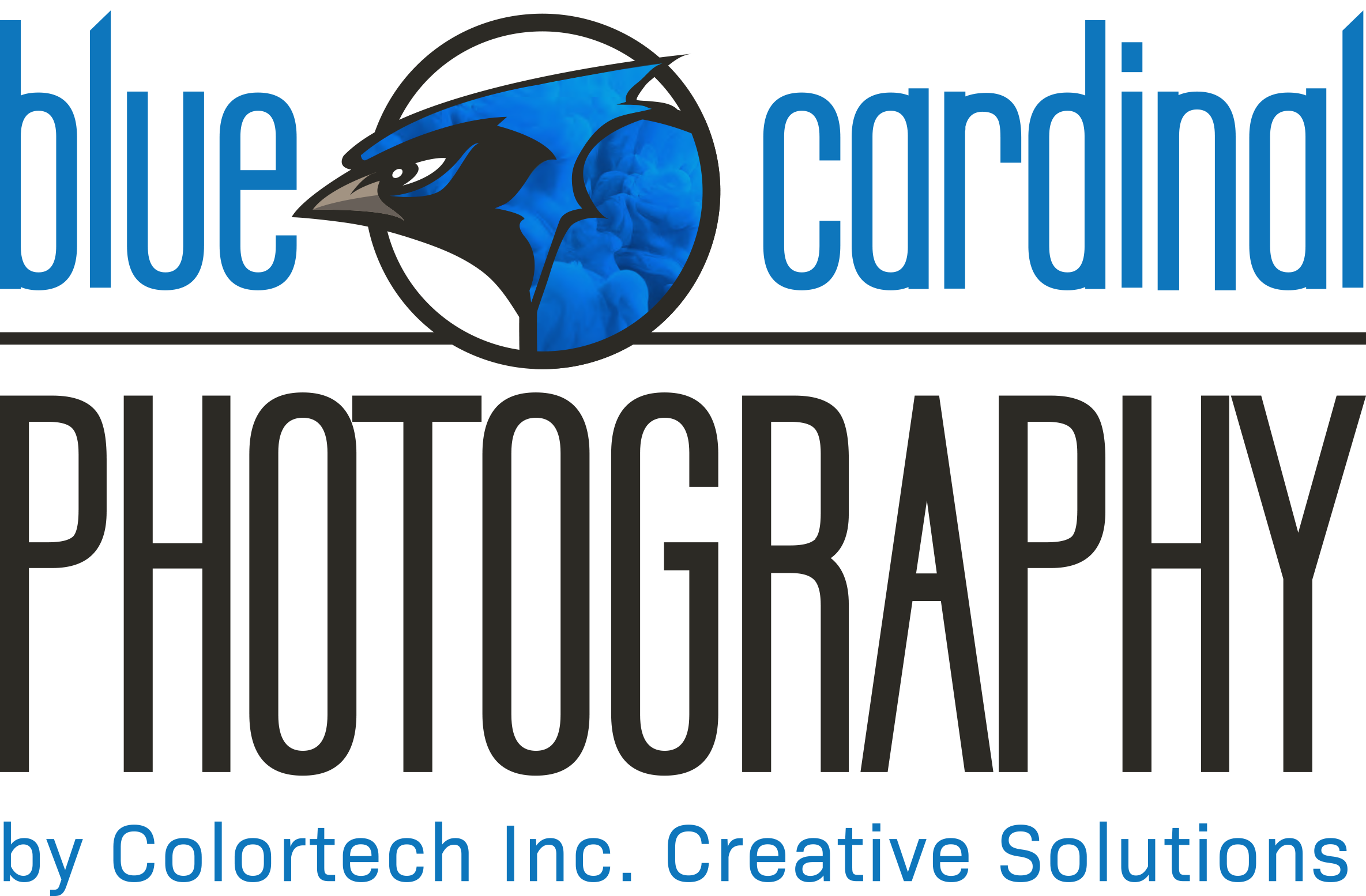 blue cardinal photography logo