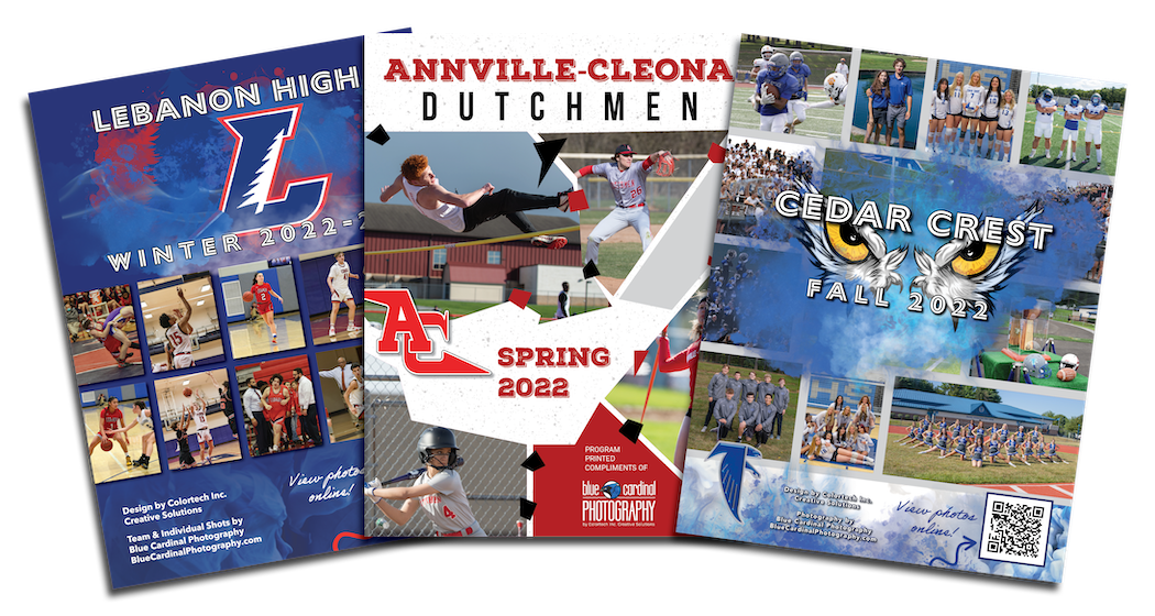 Cardinals Yearbook Free Preview