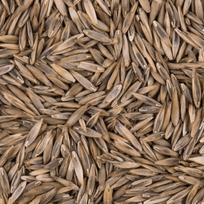 seeds